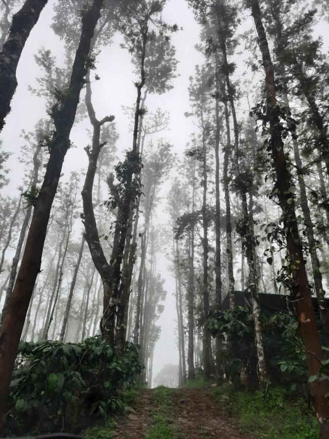 Coorg Happy Estate Stay Madikeri Dış mekan fotoğraf