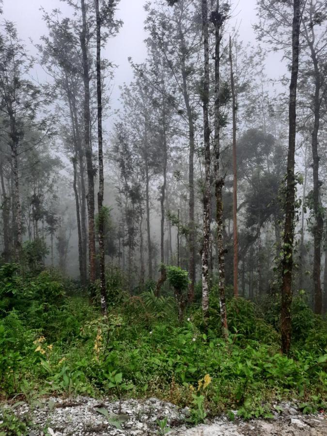 Coorg Happy Estate Stay Madikeri Dış mekan fotoğraf